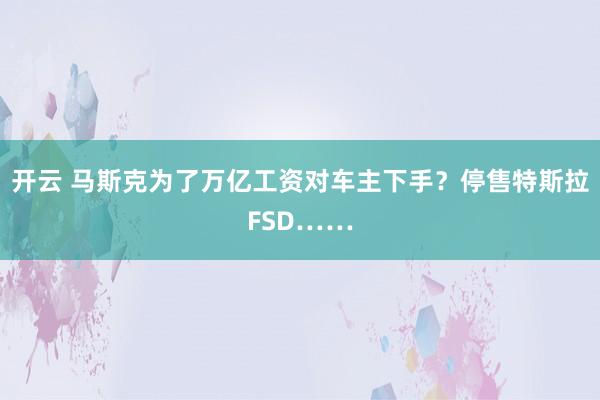 开云 马斯克为了万亿工资对车主下手？停售特斯拉FSD……