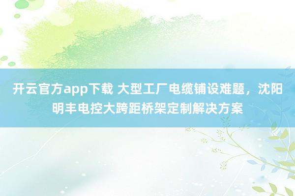 开云官方app下载 大型工厂电缆铺设难题，沈阳明丰电控大跨距桥架定制解决方案