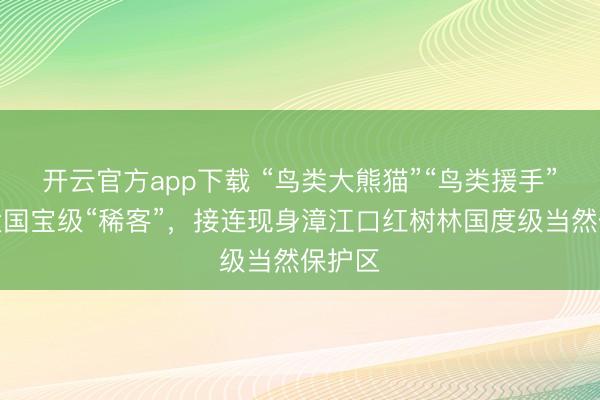 开云官方app下载 “鸟类大熊猫”“鸟类援手”！两大国宝级“稀客”，接连现身漳江口红树林国度级当然保护区