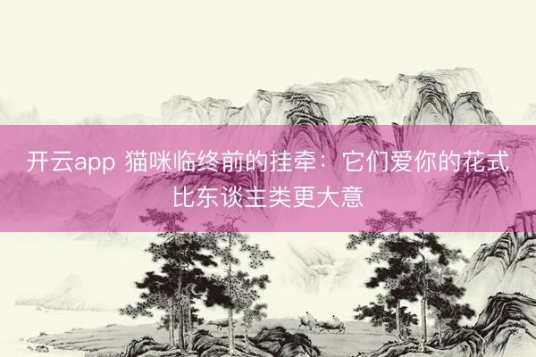 开云app 猫咪临终前的挂牵：它们爱你的花式比东谈主类更大意