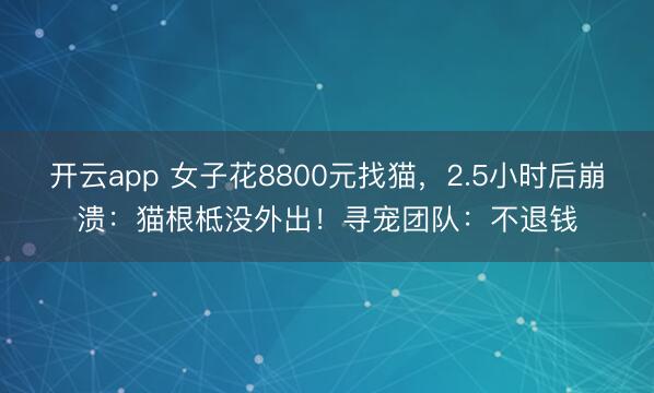 开云app 女子花8800元找猫，2.5小时后崩溃：猫根柢没外出！寻宠团队：不退钱
